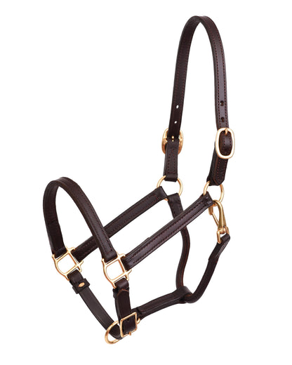 /4" Premium Leather Show Halter