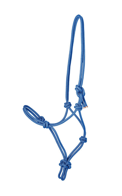 Rope Halter with Lead