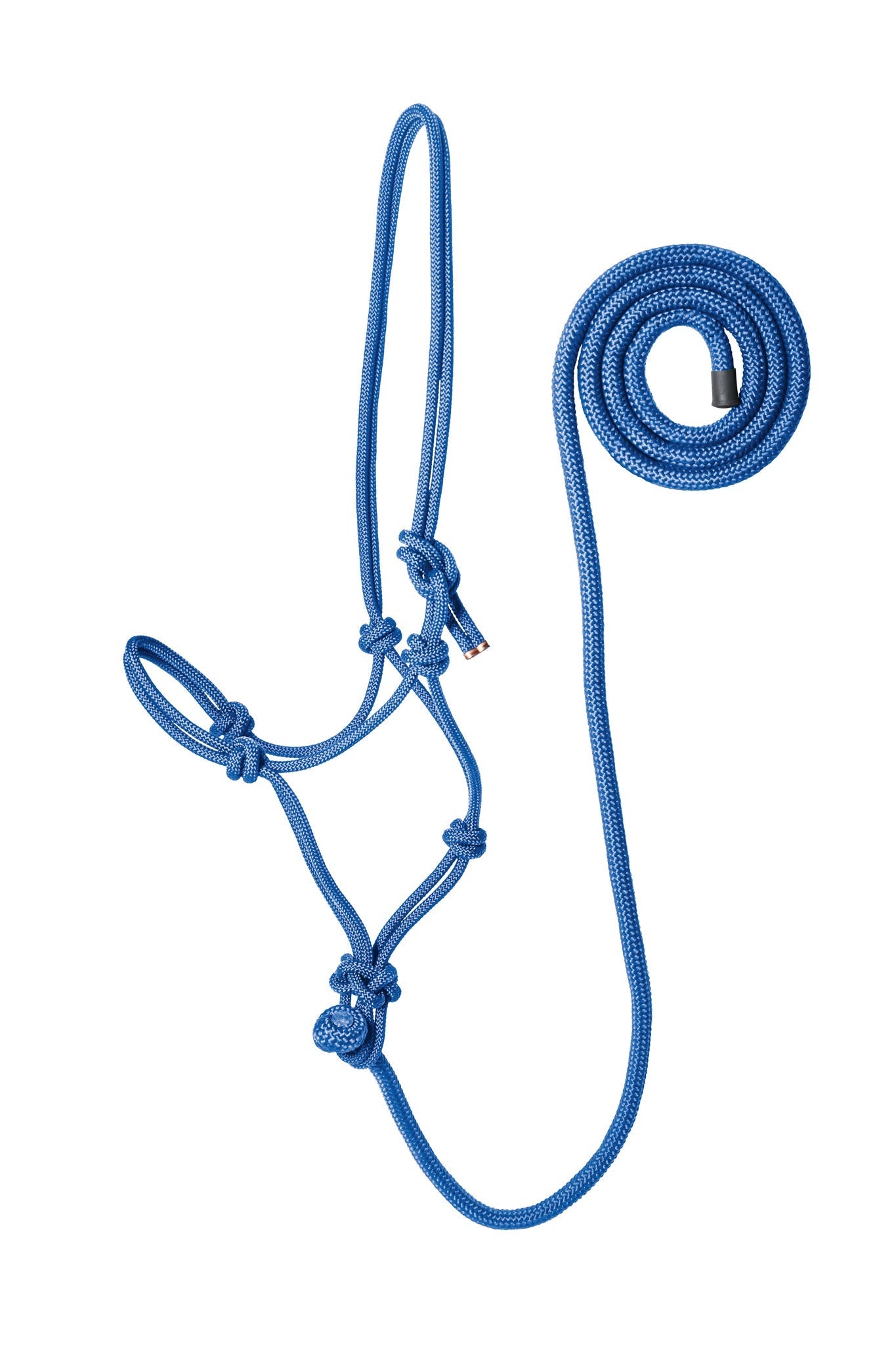 Rope Halter with Lead