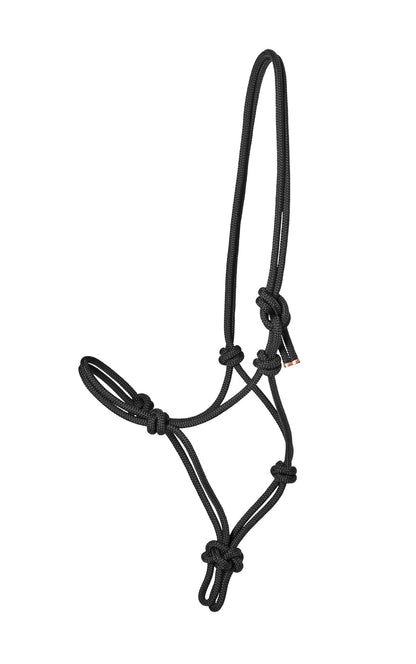Rope Halter with Lead