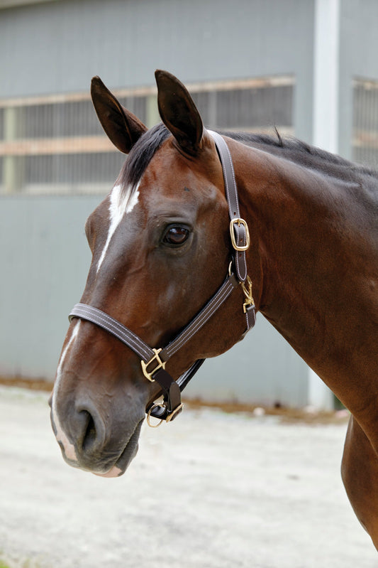 Triple-Stitched Halter