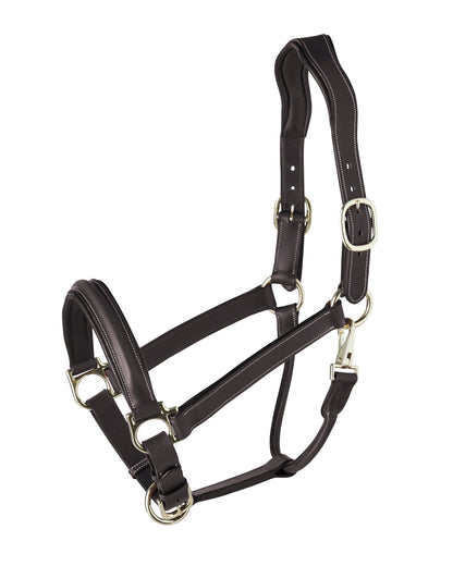Ergonomic Halter