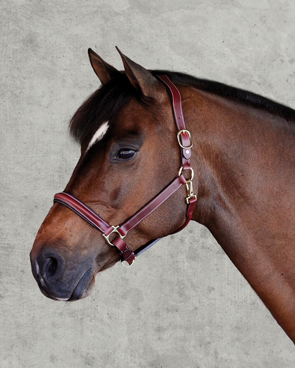 Ergonomic Halter