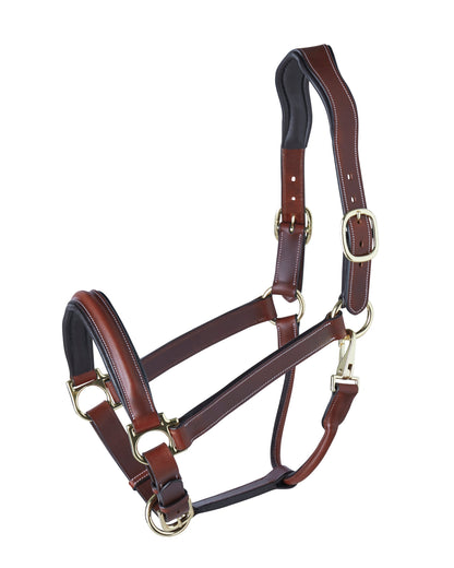 Ergonomic Halter