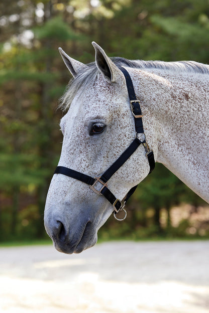 Nylon Breakaway Halter