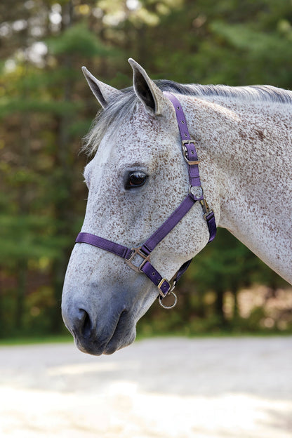 Nylon Breakaway Halter