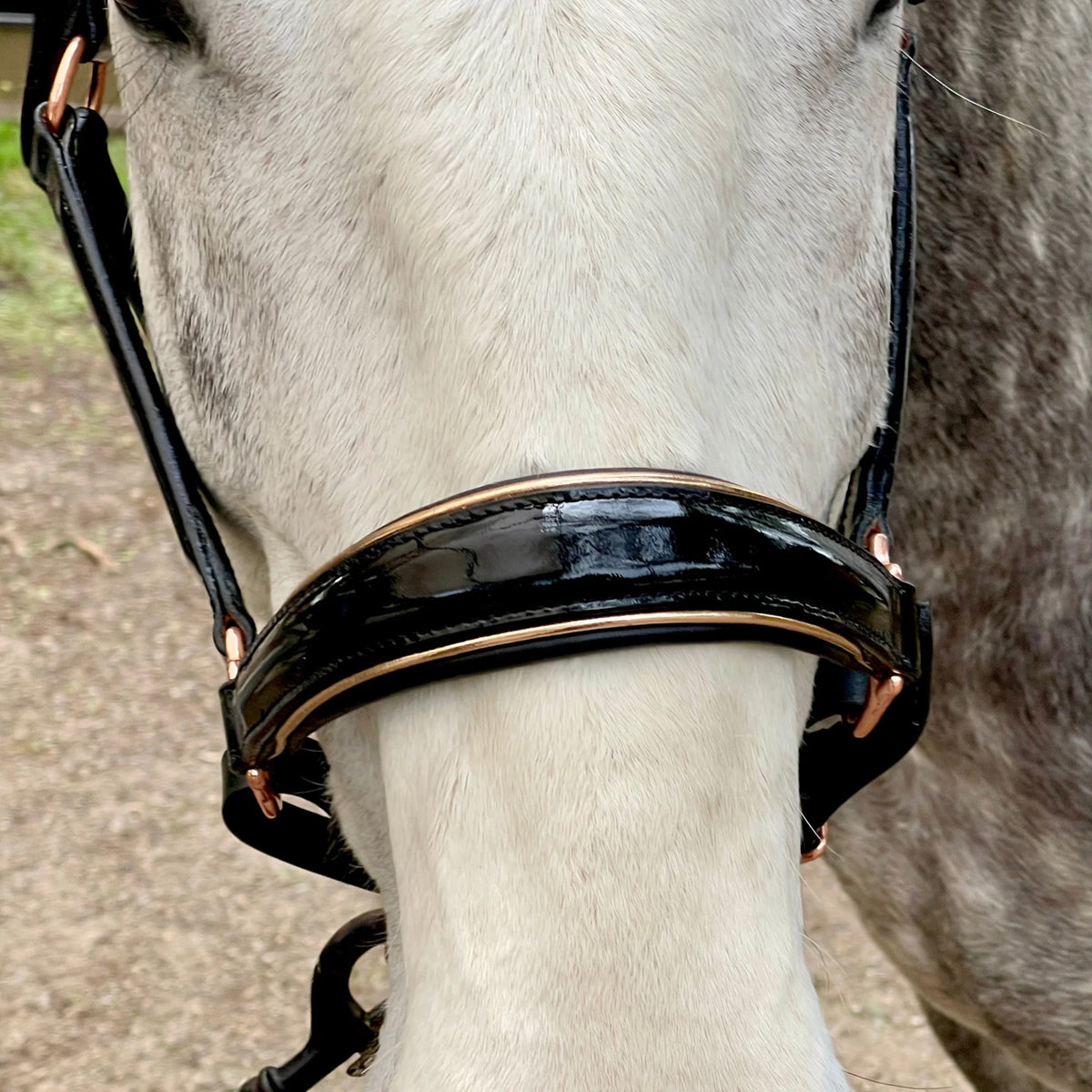 Catalonia Halter