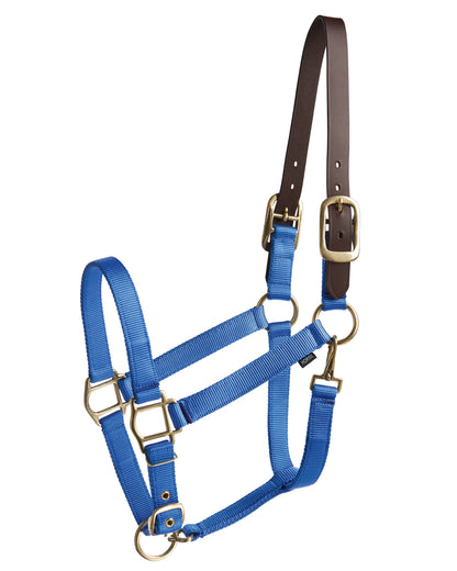 Heavy Nylon Halter with Breakaway Crown