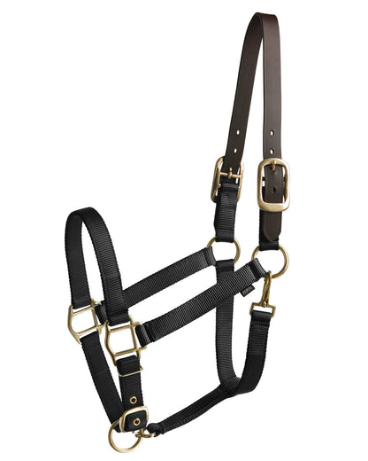 Heavy Nylon Halter with Breakaway Crown