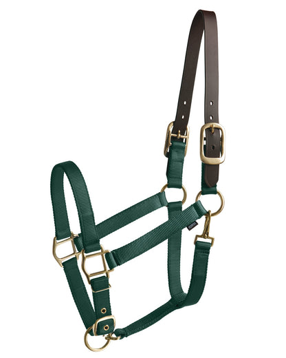 Heavy Nylon Halter with Breakaway Crown