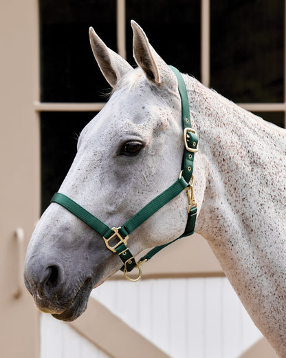 Heavy Nylon Breakaway Halter with Fuse