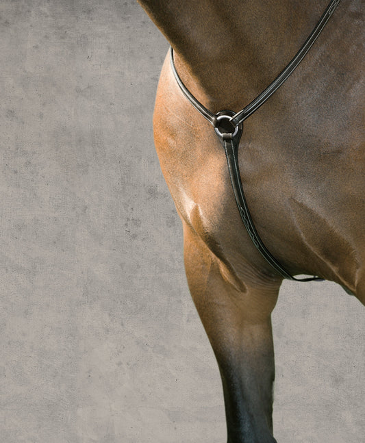 Hunter Breastplate