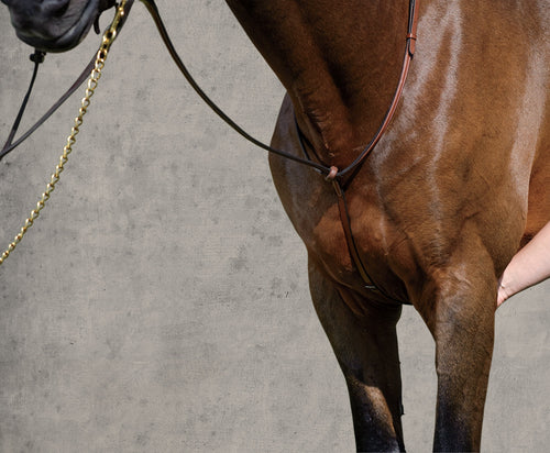 Raised Standing Martingale