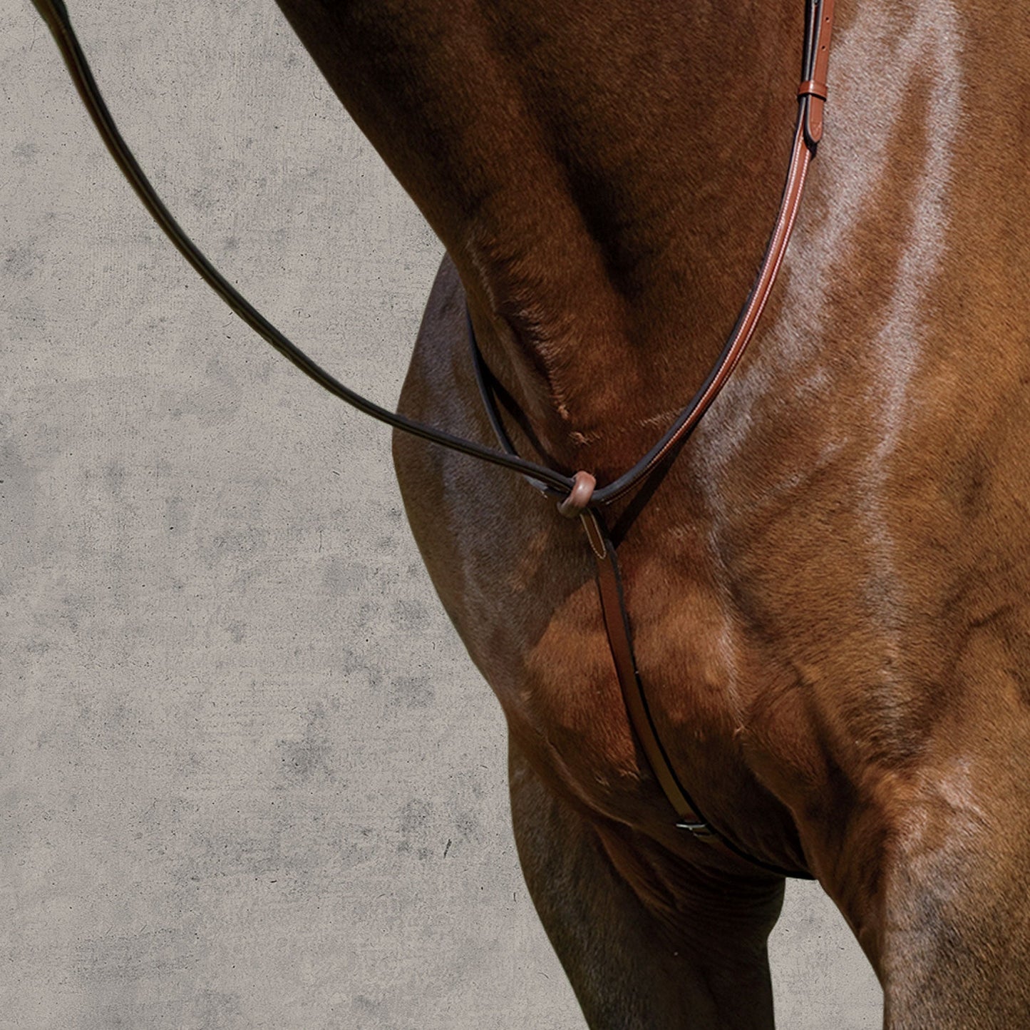 Raised Standing Martingale