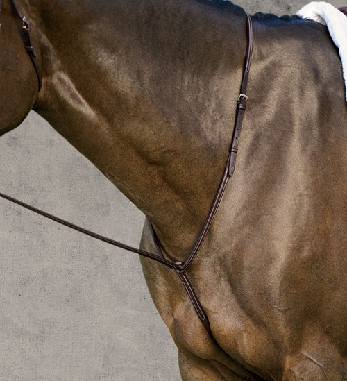 Plain Raised Martingale
