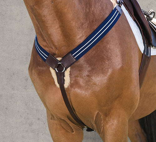 Elastic Breastplate