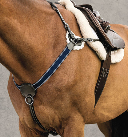 Point Breastplate