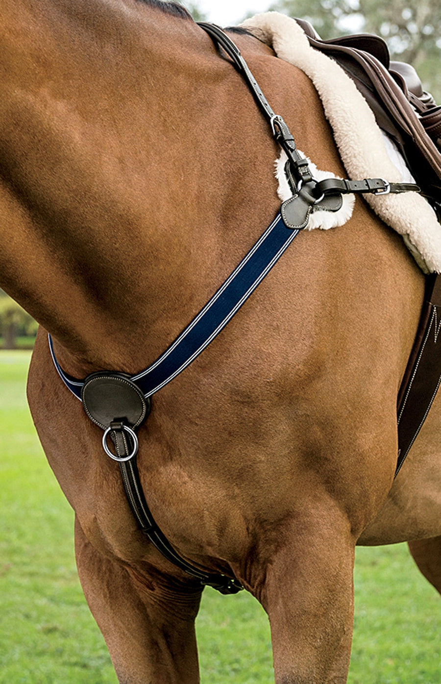 Point Breastplate