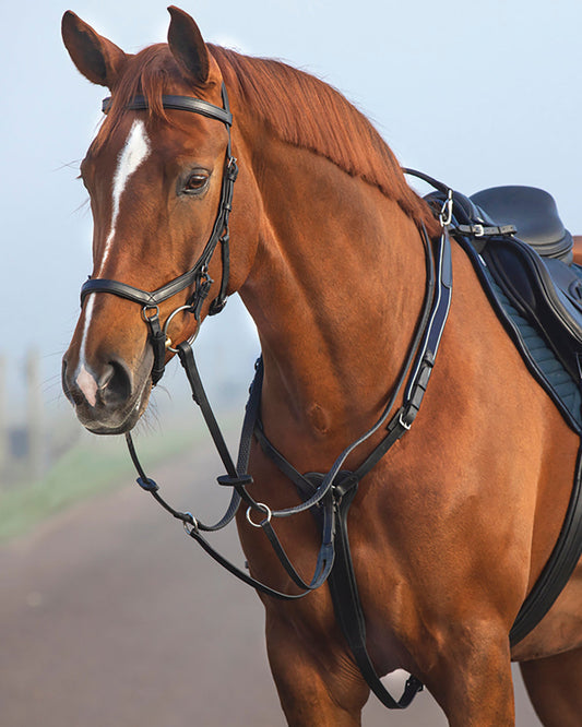 Three-Point Breastplate