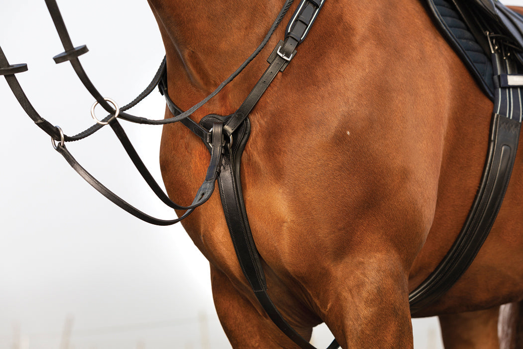 Three-Point Breastplate