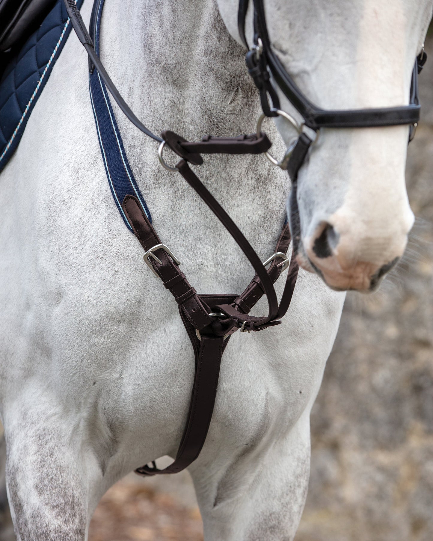Three-Point Breastplate