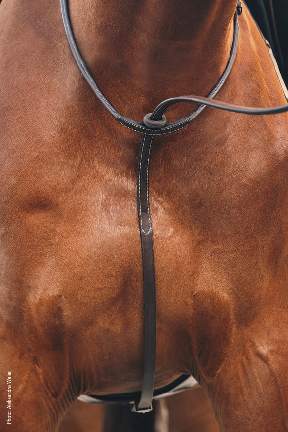 Santa Clara Standing Martingale