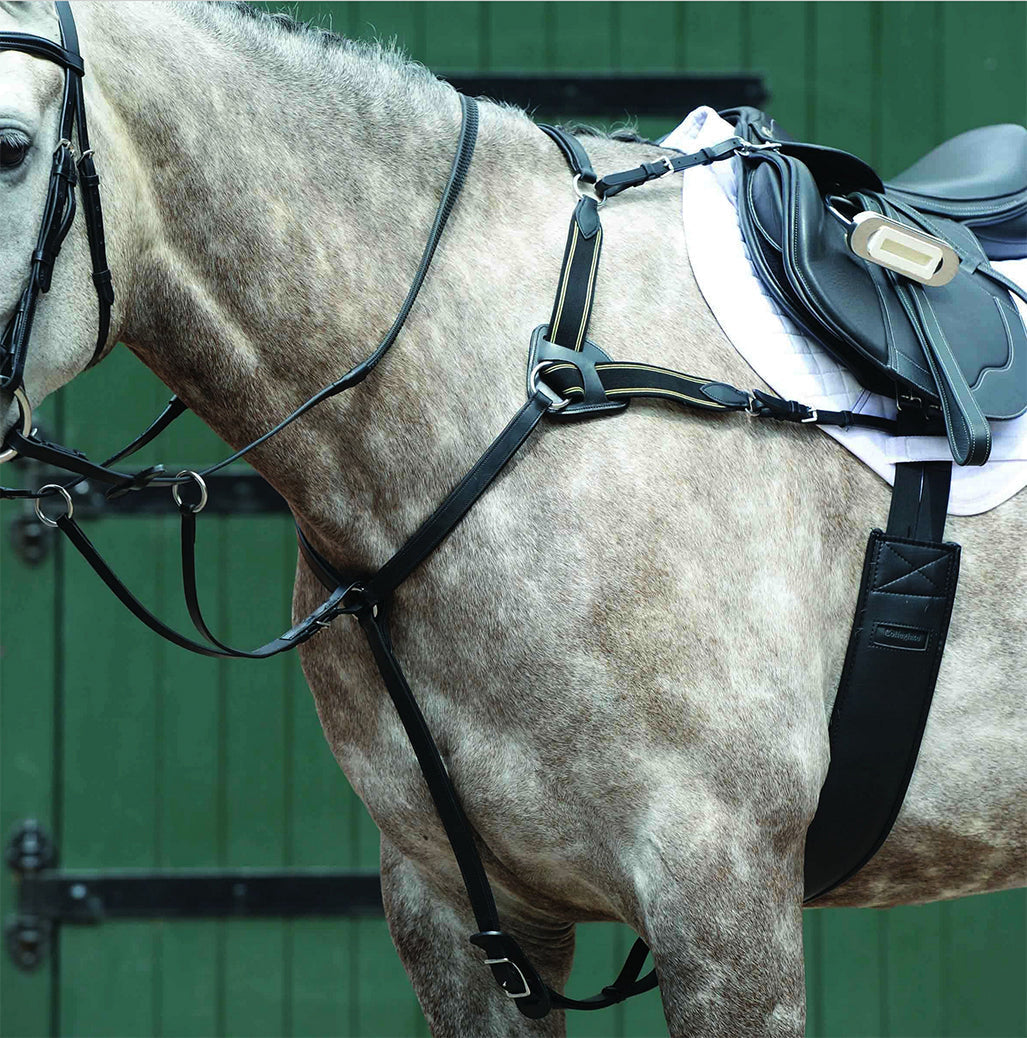 Essential 5-Point Breastplate