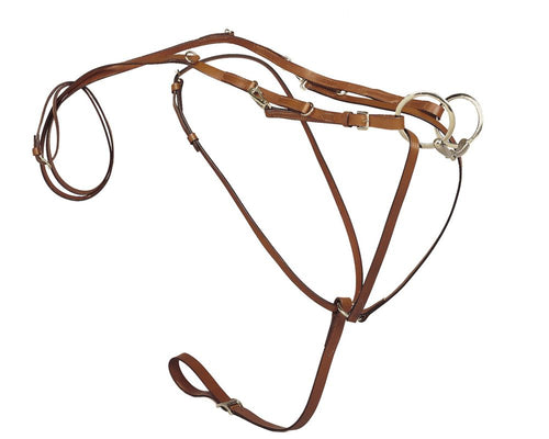 German Martingale Rein Set