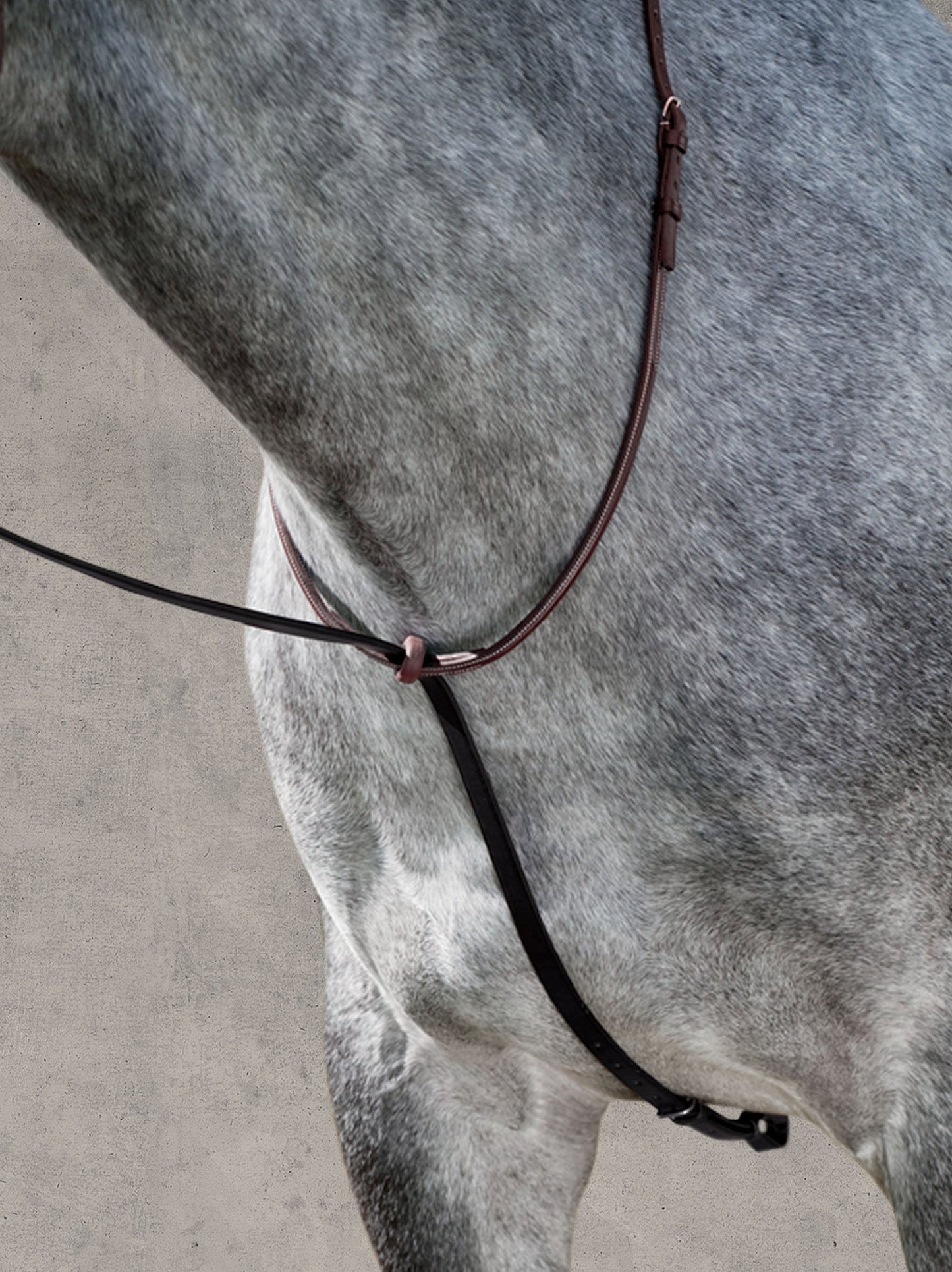 Deluxe Standing Martingale