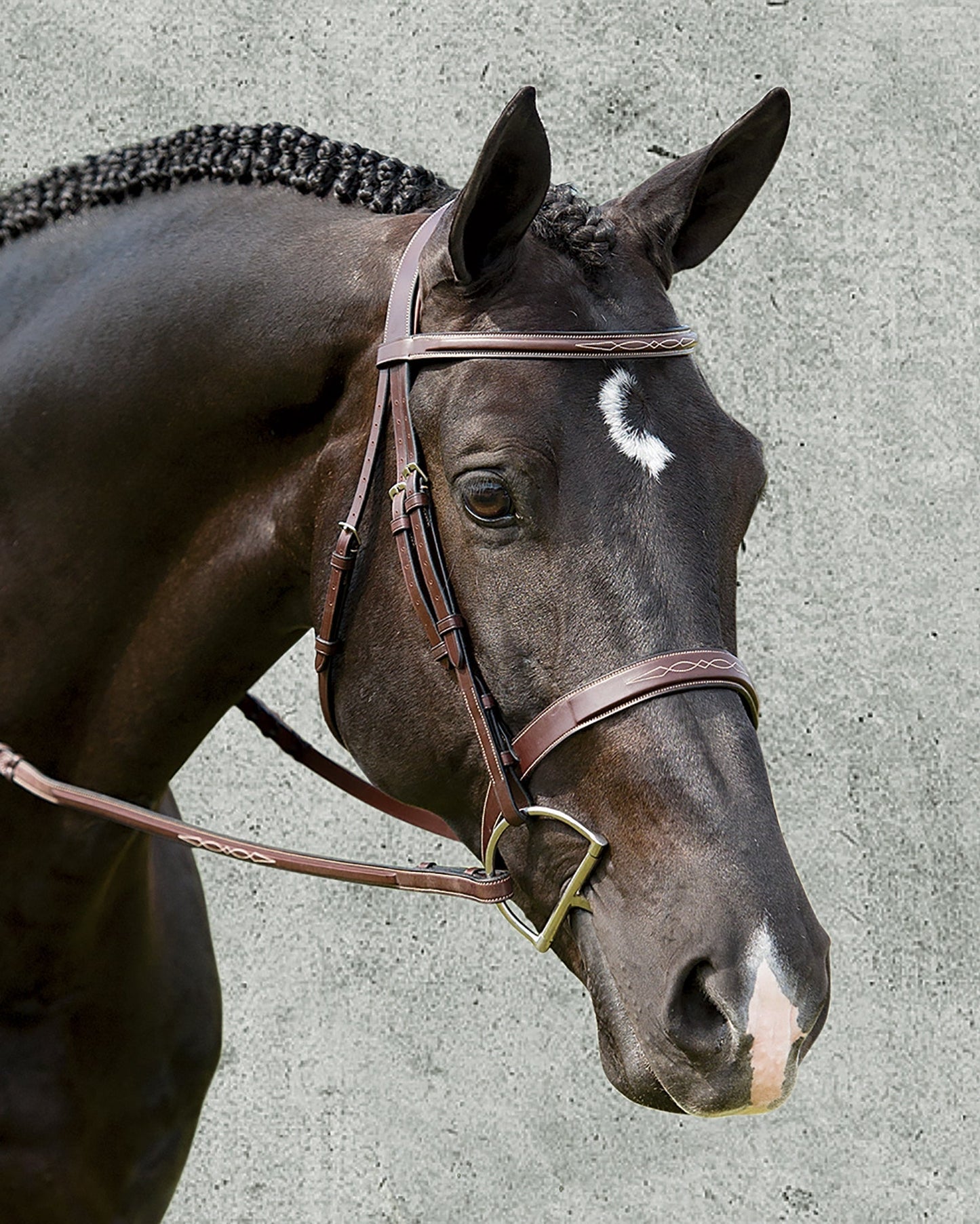 Wide Nose Hunter Bridle