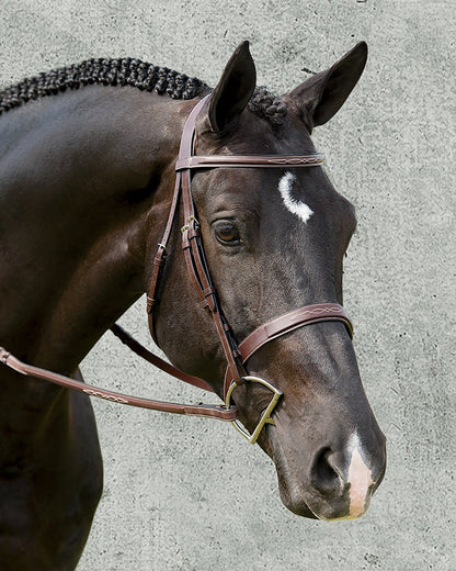 Wide Nose Hunter Bridle