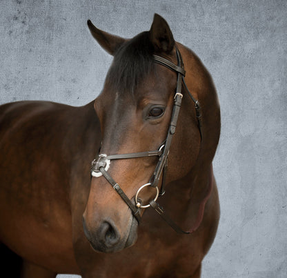 Figure-8 Bridle