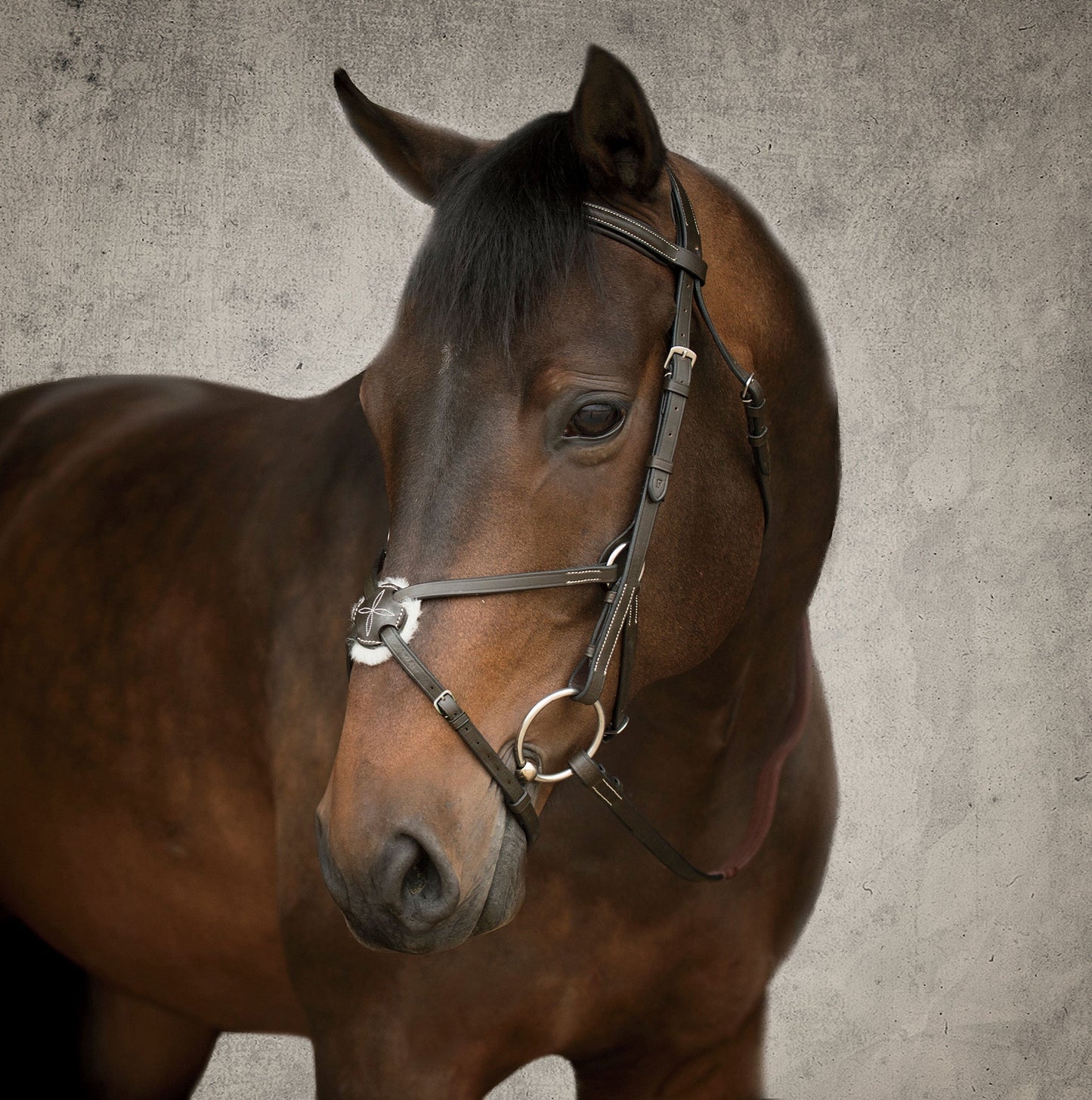 Figure-8 Bridle