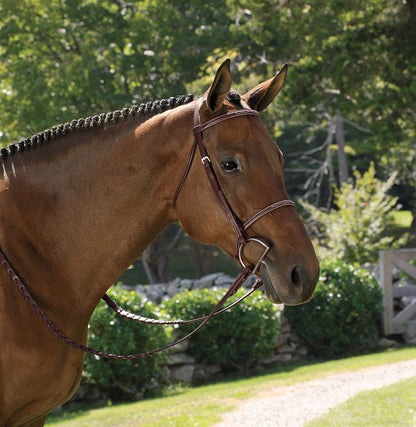 Classic Hunter Bridle