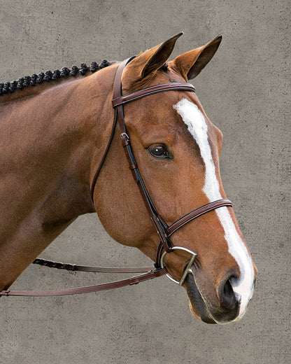 Classic Hunter Bridle