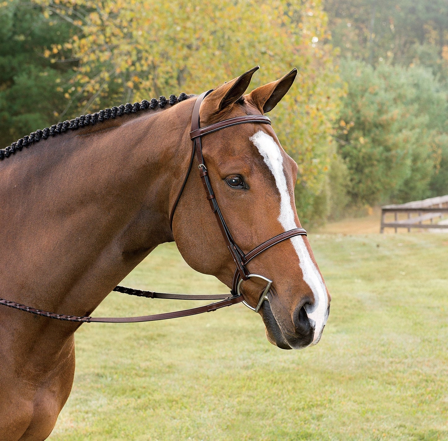 Classic Hunter Bridle