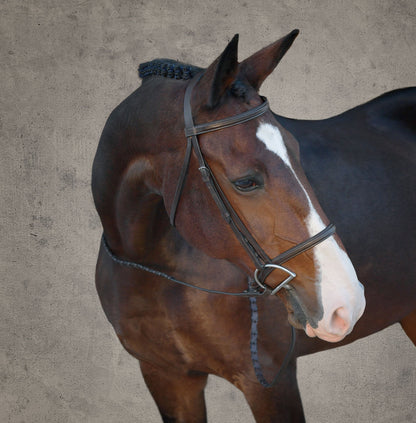 Classic Hunter Bridle