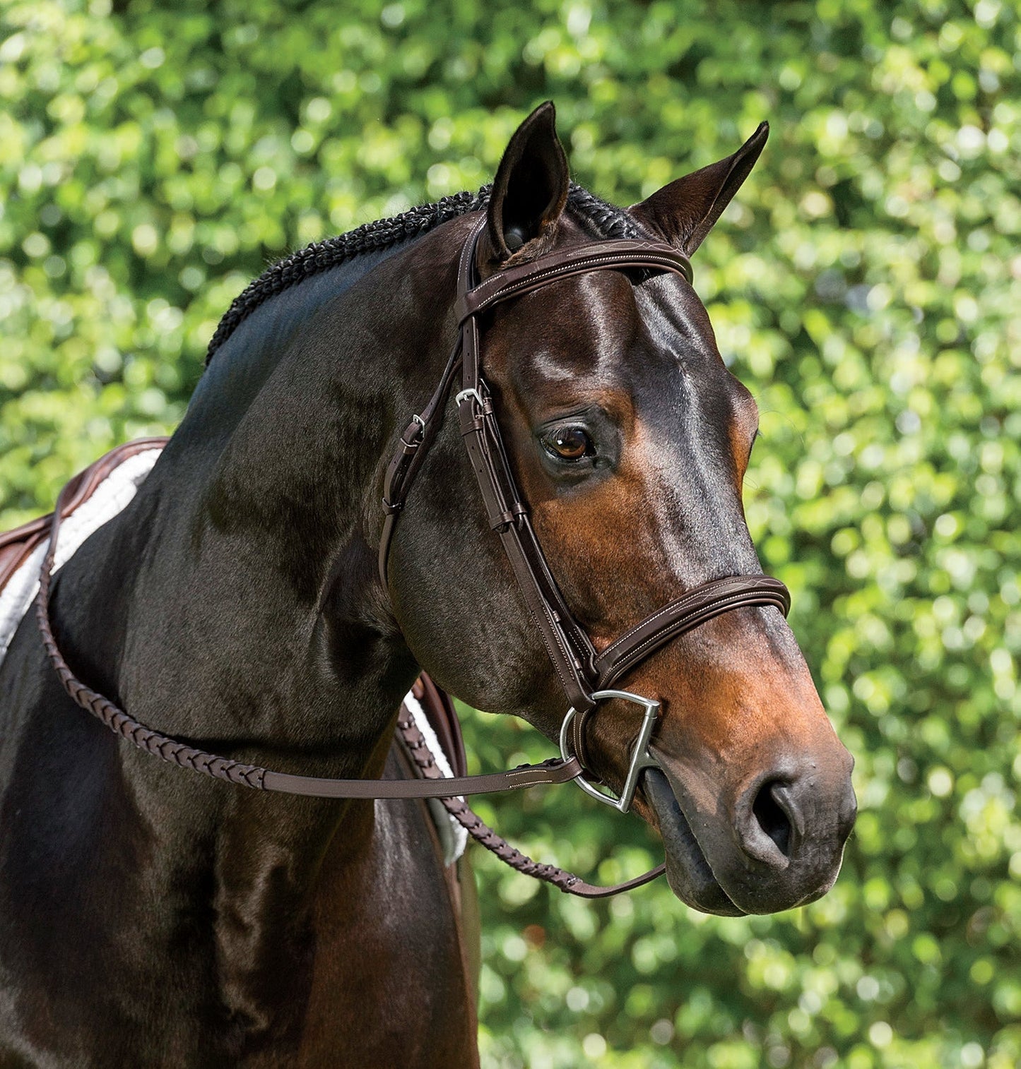 Single Crown Hunter Bridle