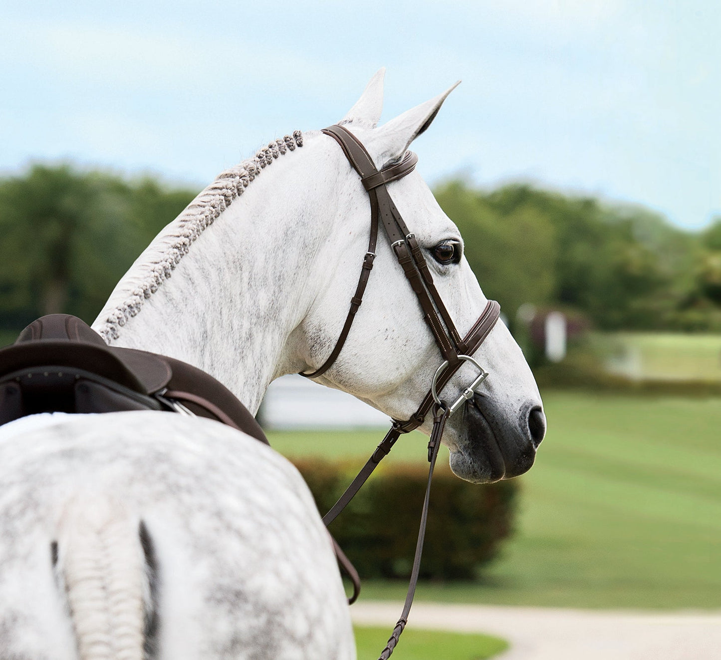 Single Crown Hunter Bridle