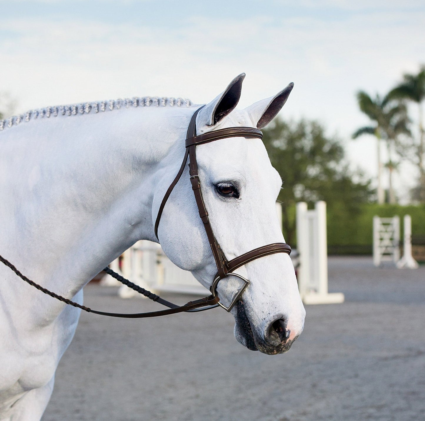 Single Crown Hunter Bridle