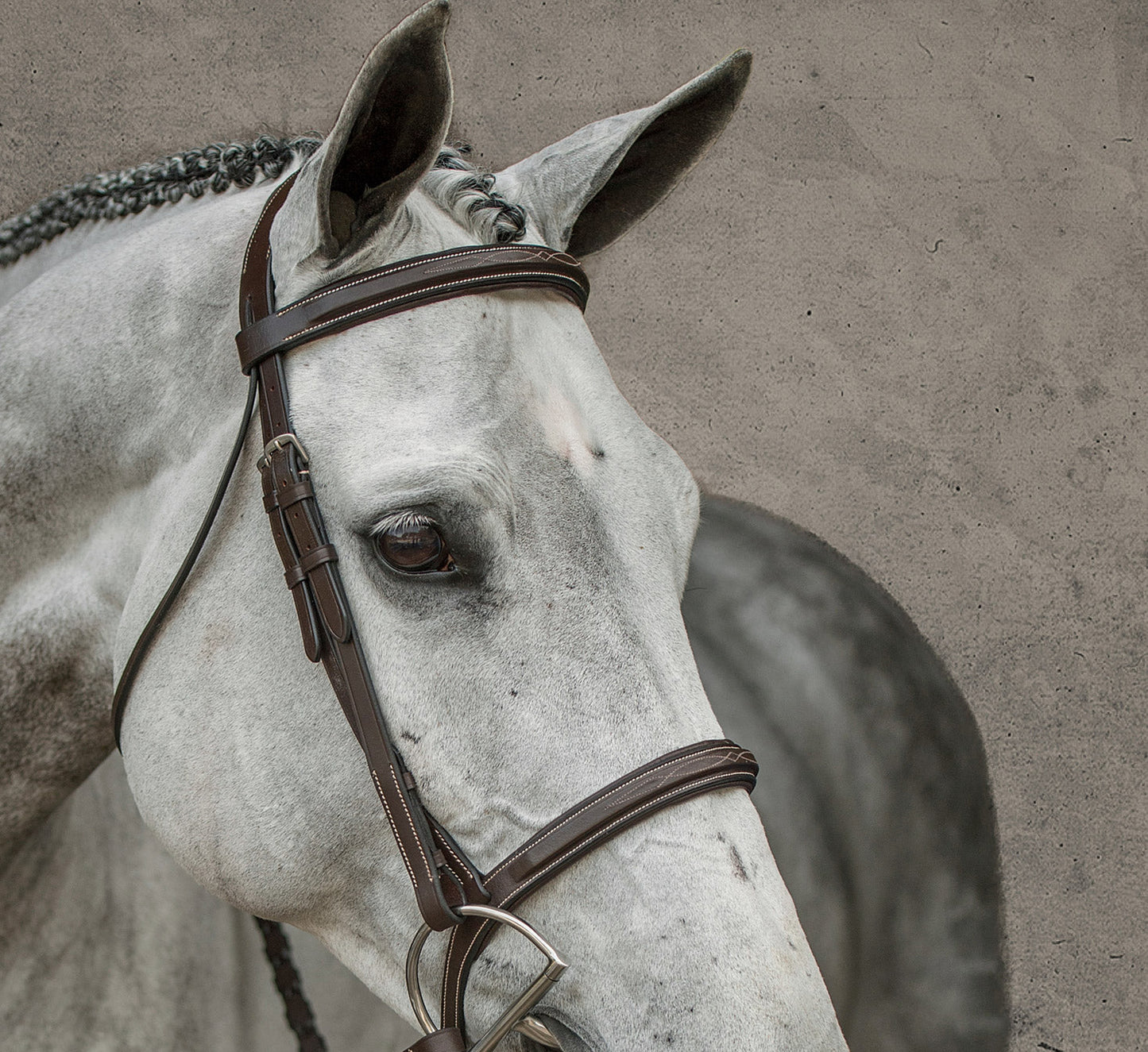 Single Crown Hunter Bridle
