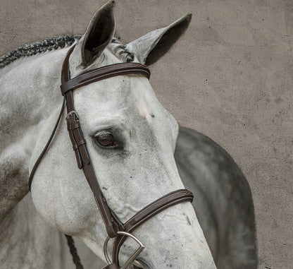 Single Crown Hunter Bridle