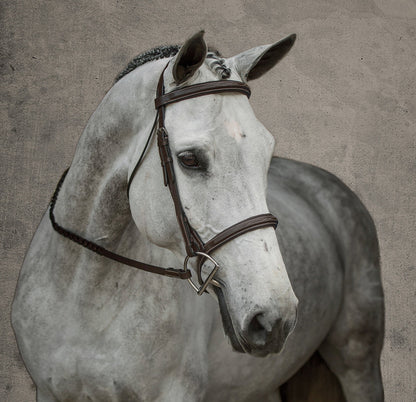 Single Crown Hunter Bridle