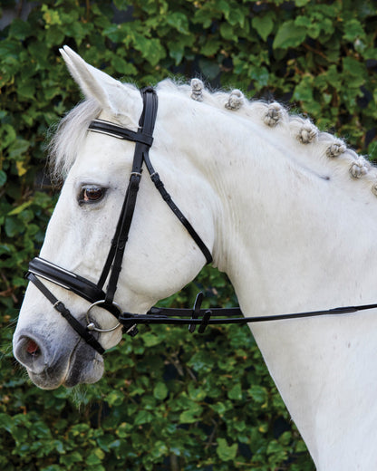 Single Crown Padded Dressage Bridle