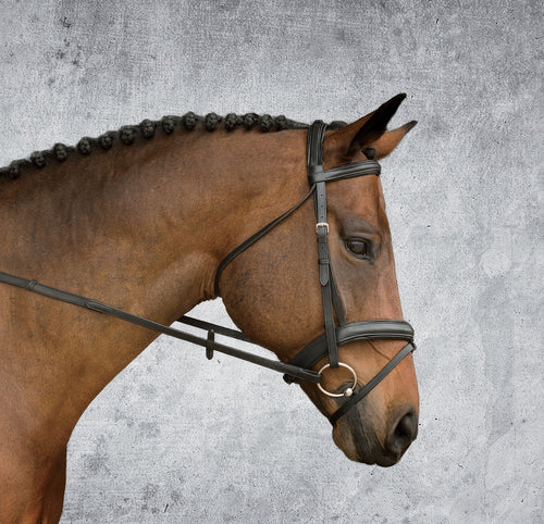 Single Crown Padded Dressage Bridle