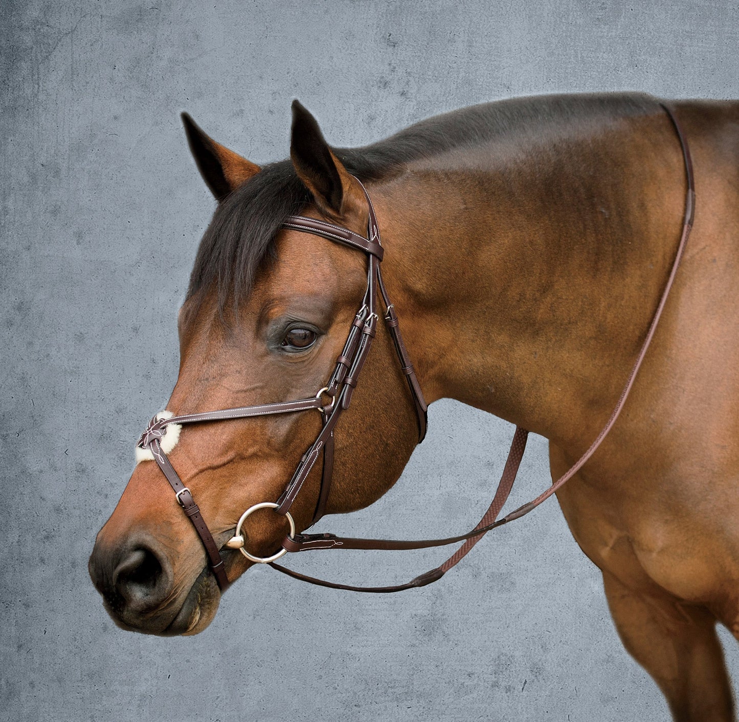 Premier Figure-8 Bridle