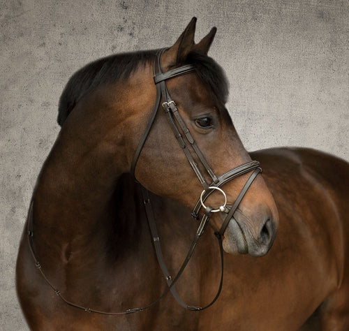 Single Crown Flash Bridle