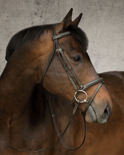 Single Crown Flash Bridle