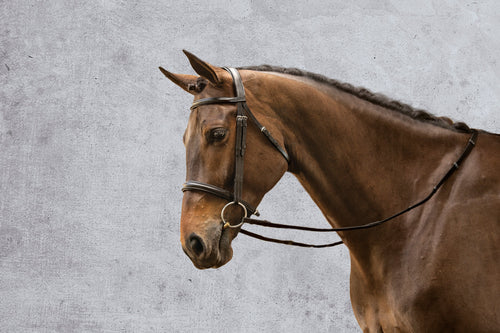 Single Crown Classic Dressage Bridle