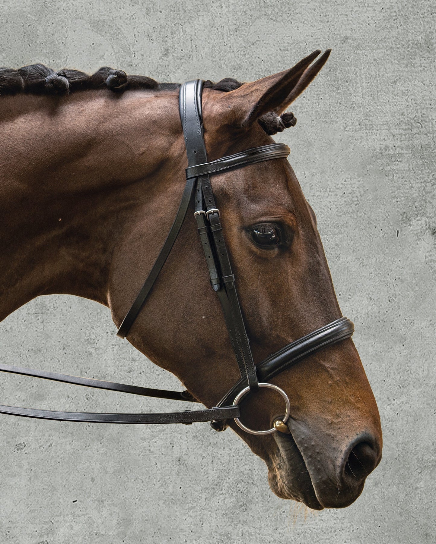 Single Crown Classic Dressage Bridle